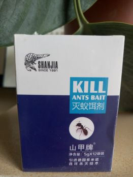 黄蚂蚁灵红蚂蚁药粉